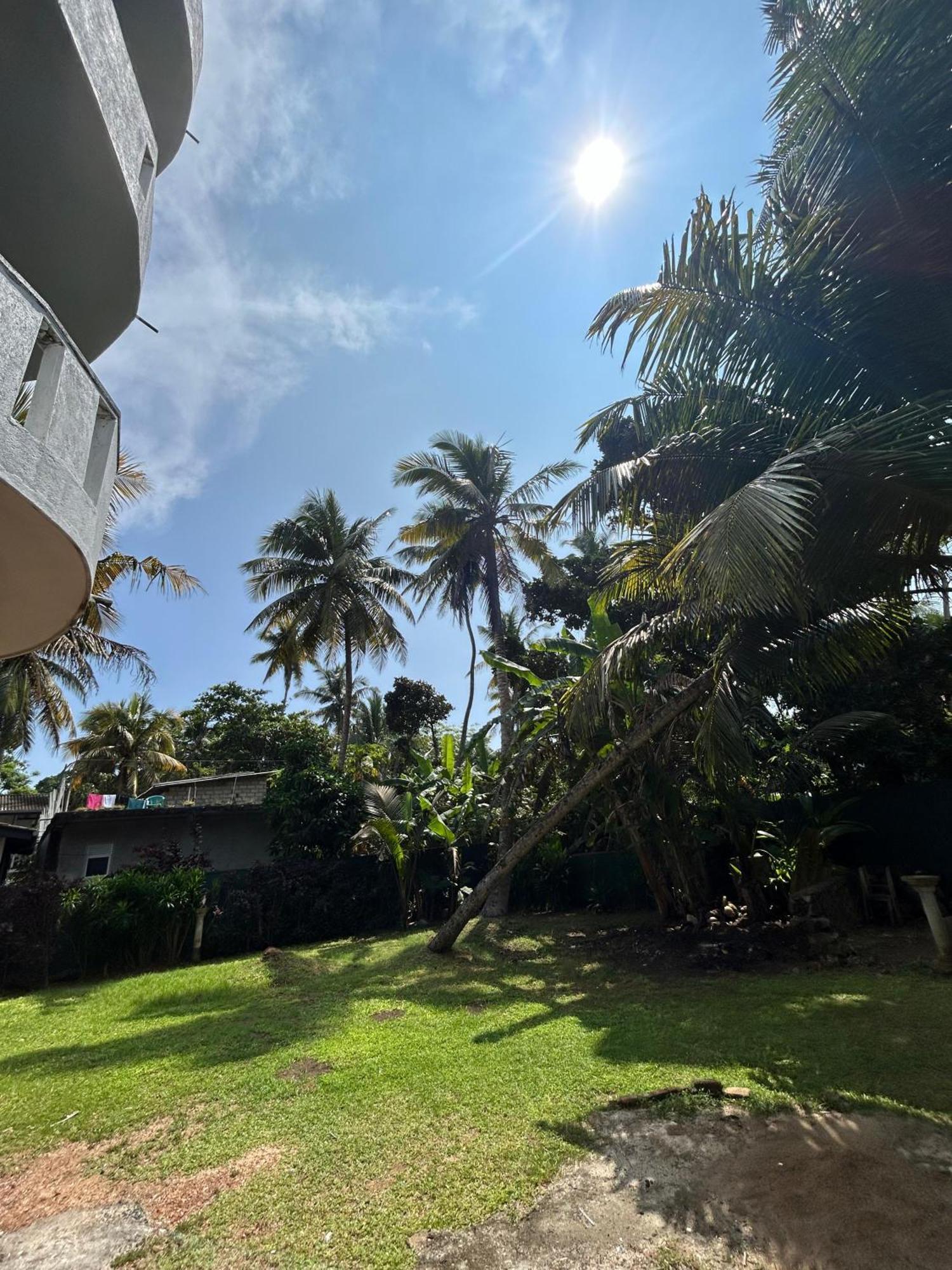 White House & Sea Food Restaurant Hostel Hikkaduwa Exterior foto
